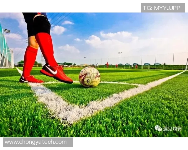 足球谢爽：从绿茵场上的拼搏到人生舞台的精彩转身