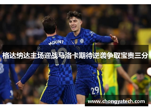 格达纳达主场迎战马洛卡期待逆袭争取宝贵三分